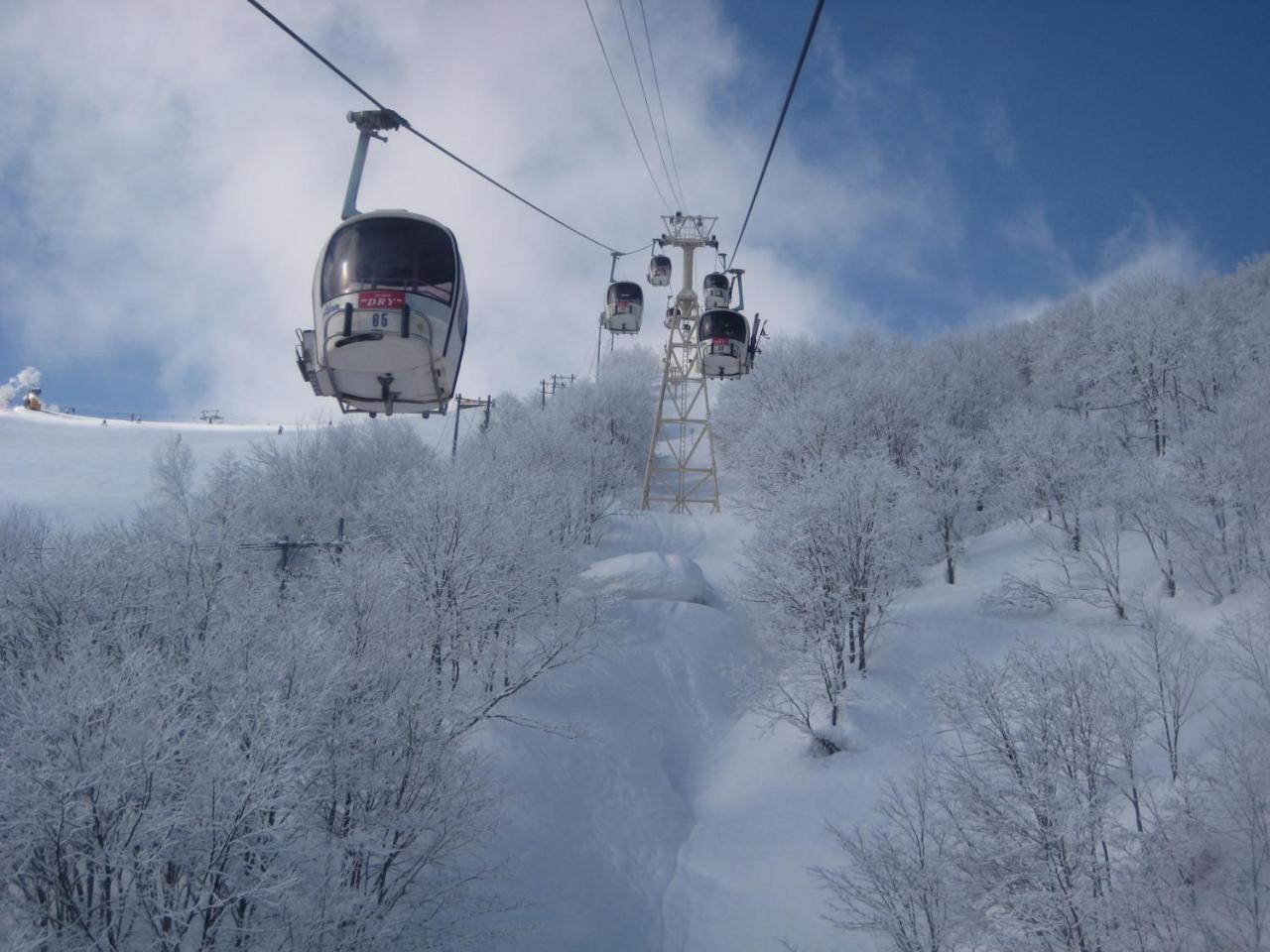 Sakka Sanso Villa Hakuba Dış mekan fotoğraf