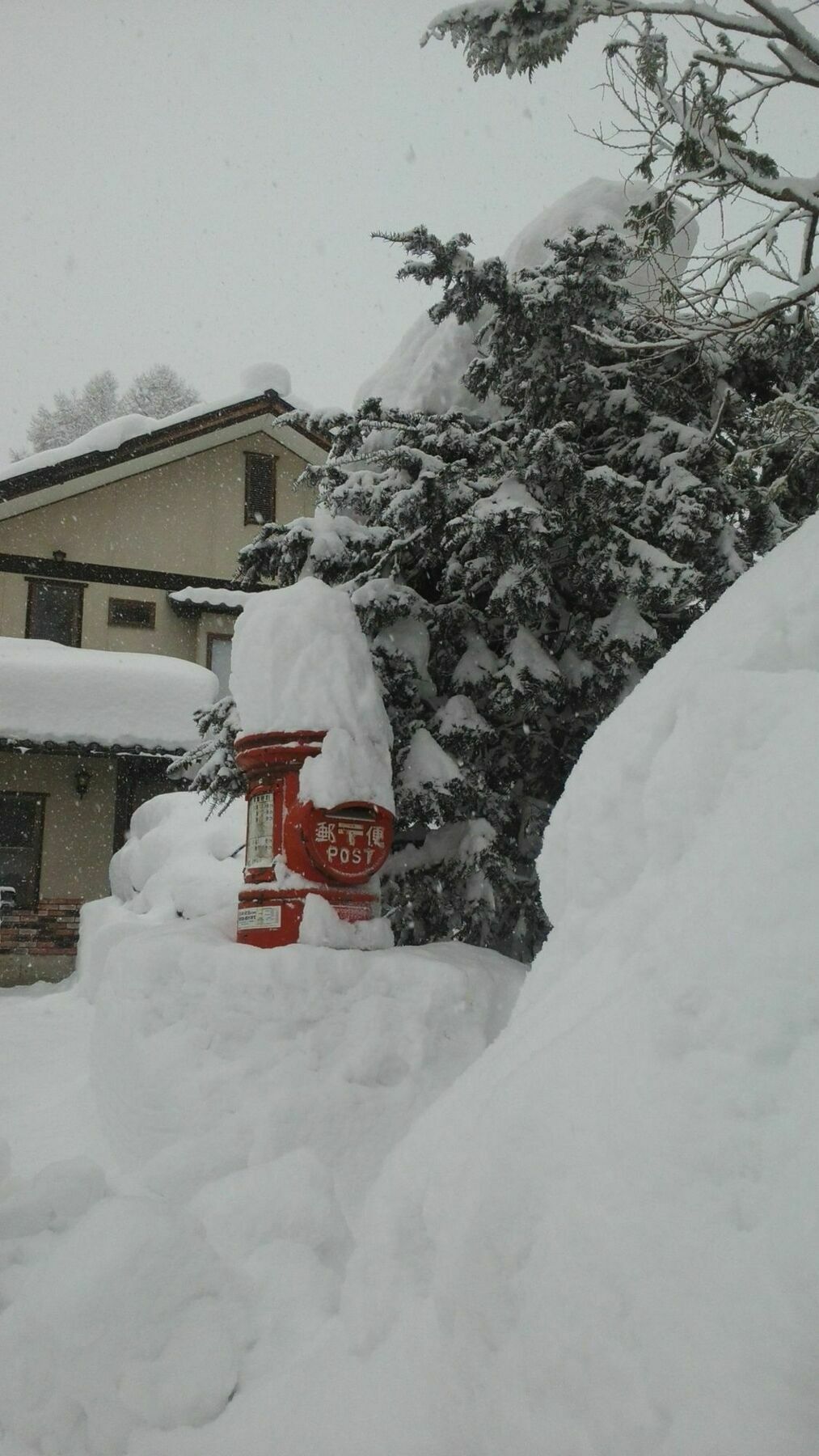 Sakka Sanso Villa Hakuba Dış mekan fotoğraf