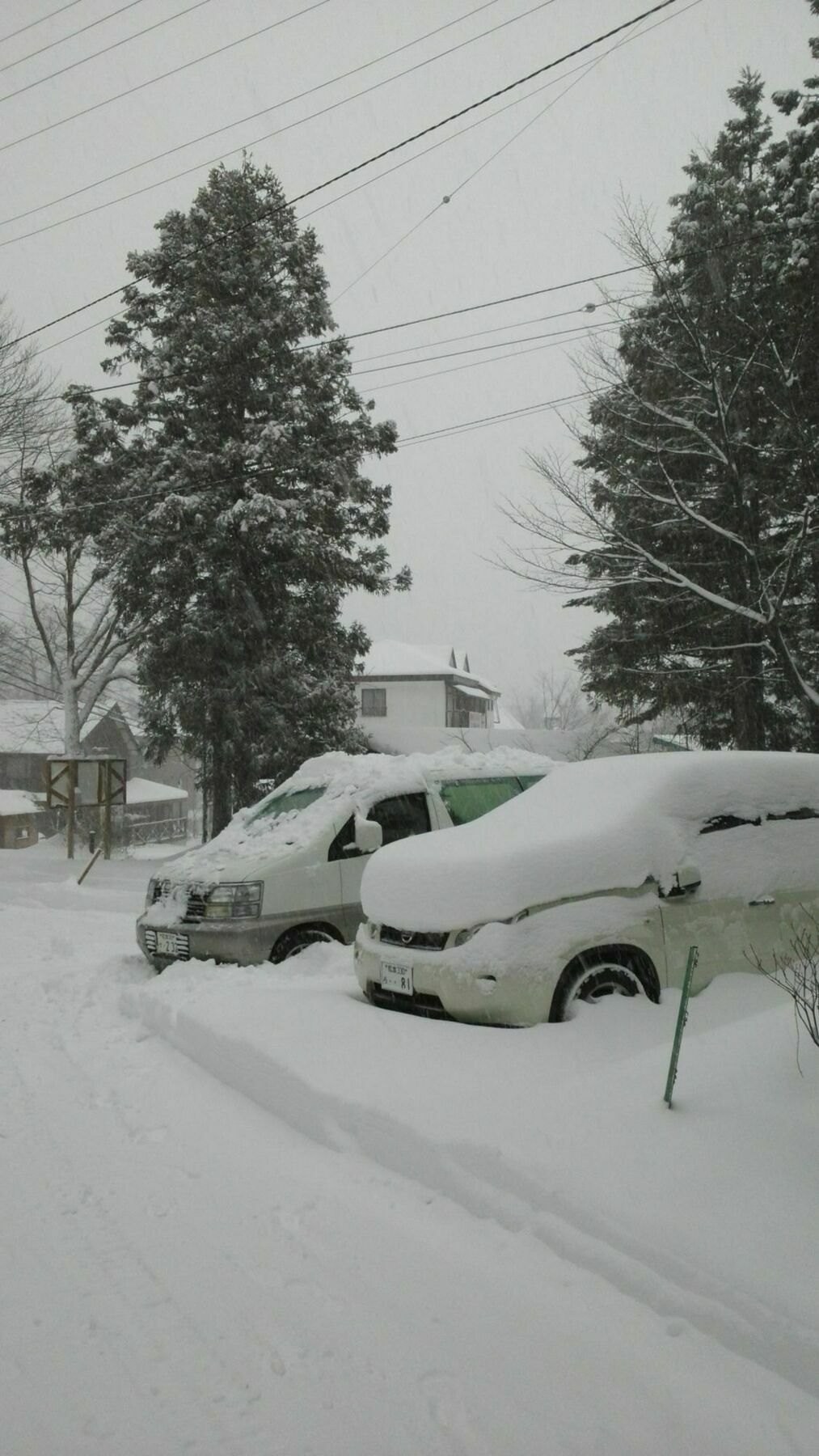 Sakka Sanso Villa Hakuba Dış mekan fotoğraf
